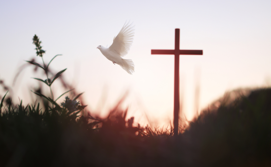 A Dove And A Cross