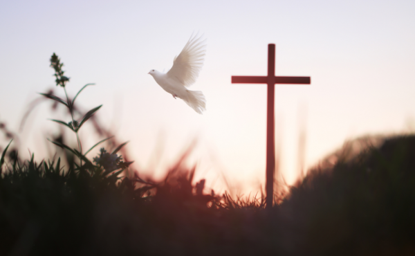 A dove and a cross