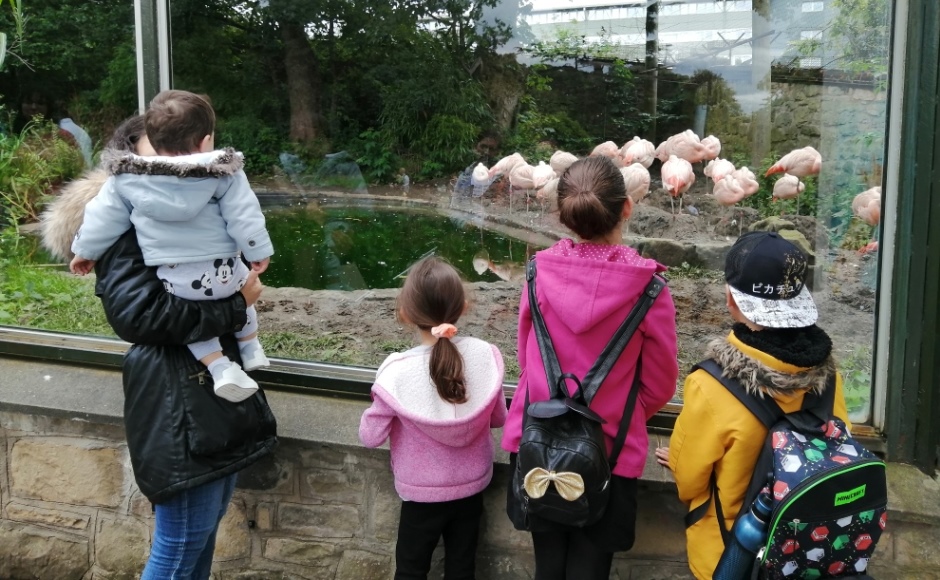 Edinburgh Zoo visit 