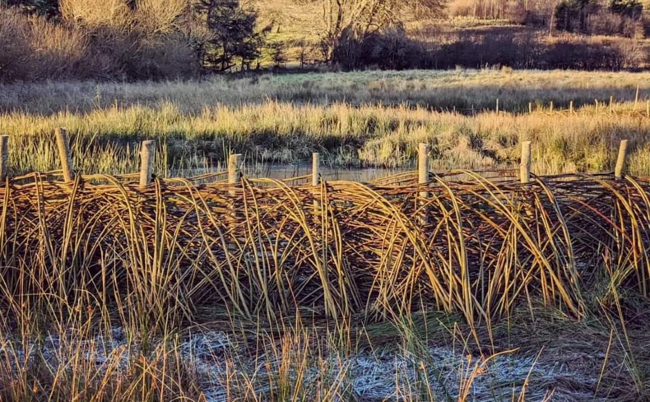 Pool of Muckhart 